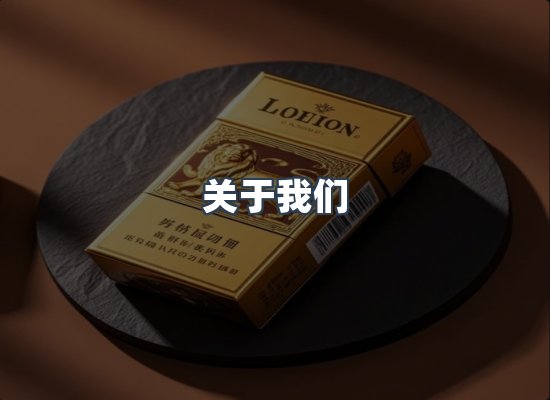 关于我们